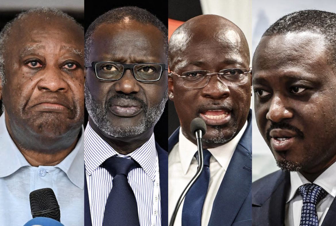 Pour le porte-parole du gouvernement, seule la CEI est compétente pour se prononcer sur la liste électorale définitive.